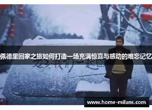 佩德里回家之旅如何打造一场充满惊喜与感动的难忘记忆