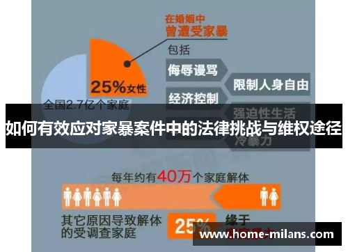 如何有效应对家暴案件中的法律挑战与维权途径