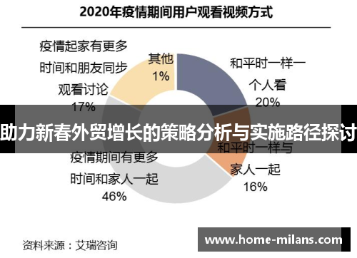 助力新春外贸增长的策略分析与实施路径探讨