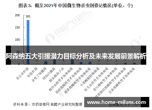 阿森纳五大引援潜力目标分析及未来发展前景解析