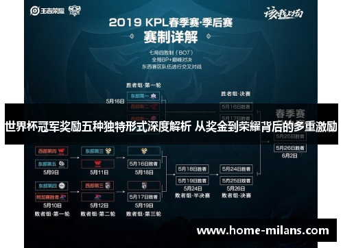 世界杯冠军奖励五种独特形式深度解析 从奖金到荣耀背后的多重激励