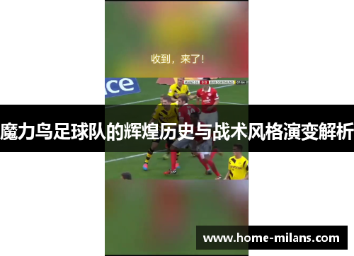 魔力鸟足球队的辉煌历史与战术风格演变解析